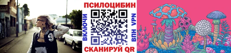 shop клад  даркнет сайт  Кологрив  Галлюциногенные грибы Psilocybine cubensis 